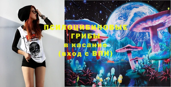 соль ск Абаза