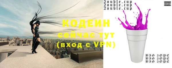 соль ск Абаза