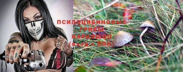 спиды Абдулино
