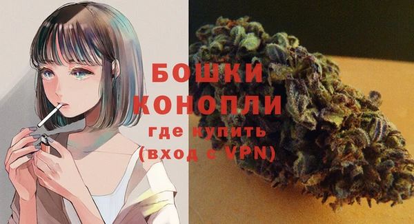 соль ск Абаза