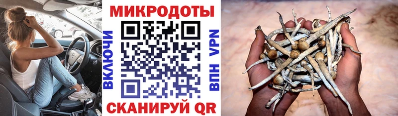 MEGA вход  наркошоп  Пудож  Псилоцибиновые грибы прущие грибы 